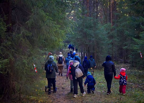 В воскресенье краснотурьинцы, гулявшие по лесу, поставили рекорд