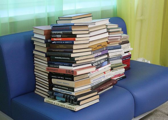 Ко дню книгодарения собрали более 500 книг