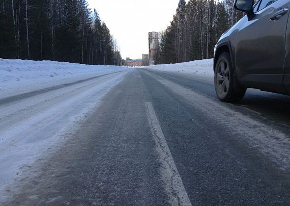 8-летняя девочка села в заказной автобус, вышла в лесу и чуть не заблудилась