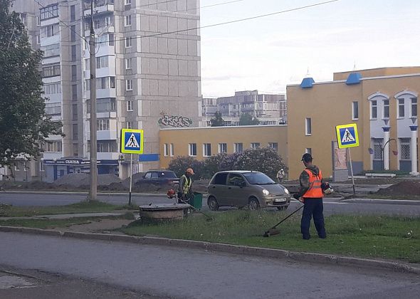 Покос травы обойдется почти в два миллиона  