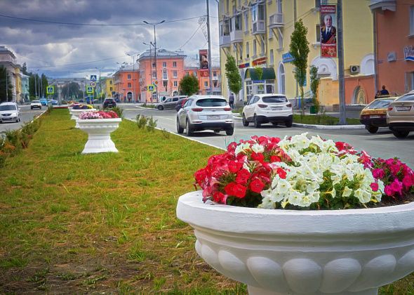 В 2023 году временно трудоустроят 600 подростков. На какие работы?