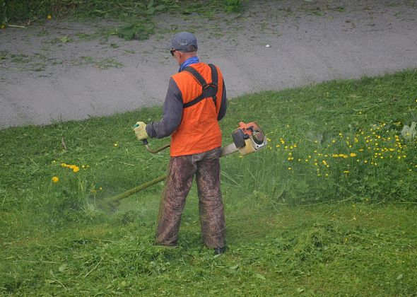 На покосе травы вдоль дорог можно заработать более 2 миллионов рублей