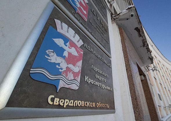 Мэрия Краснотурьинска объяснила, почему чернеет картофельная ботва