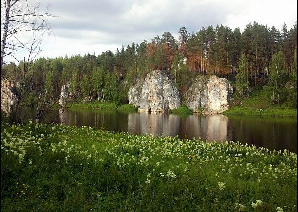 День в тайге