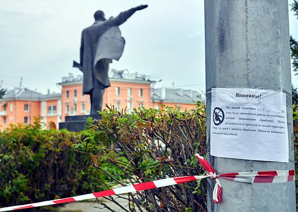 Гулять не рекомендуют. Самые посещаемые места города во второй раз обрабатывают от клещей