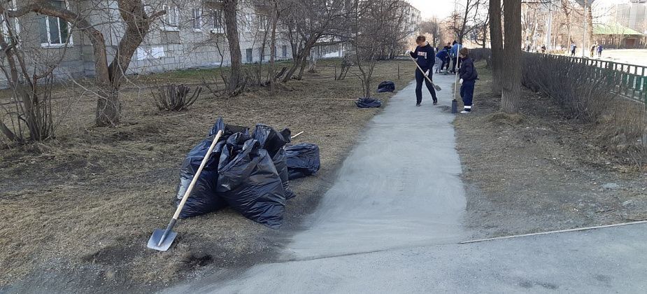 Мэрия просит во время субботников складывать ветки рядом с мешками