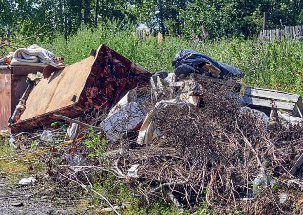 На уборке свалок сэкономили 25 тысяч рублей 