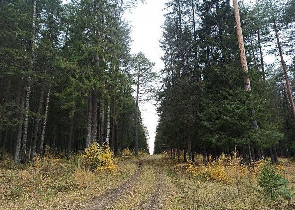 Шесть дней на «Пещерном» будут взрывать породу