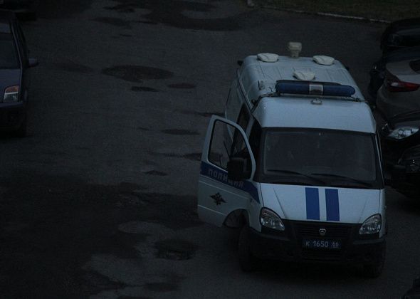 Полиция проводит проверки по фактам избиения женщины на улице и беготни с палкой во дворе