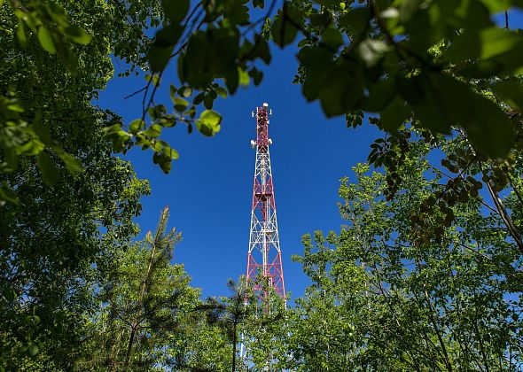 МегаФон организовал противопожарное наблюдение за лесами России