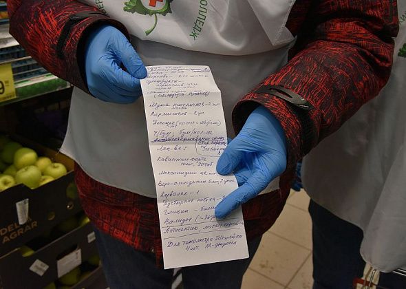 COVID: Поисково-спасательный отряд поможет краснотурьинцам с покупкой продуктов и выгулом собак