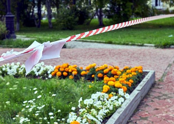 Детские учреждения обработают от клещей до конца мая