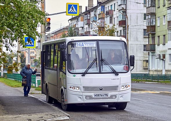 У перевозчика появились три новых автобуса