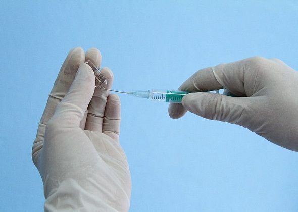 Предприятия и студентов обяжут отчитываться по привитым от ковида