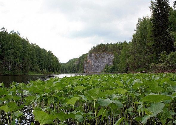 Скальное ожерелье Сосьвы