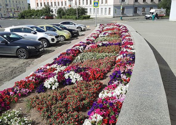 В Краснотурьинске желающих потрудиться подростков больше почти в два раза, чем вакантных мест 