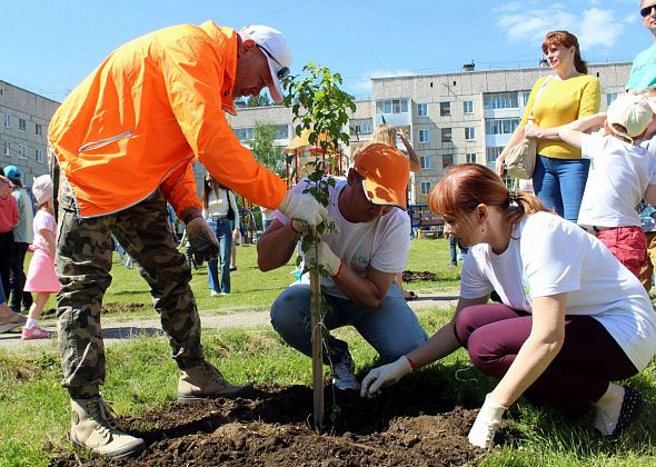 Зеленый двор от «золотых» людей: единомышленники устроили в Заречном районе эко-праздник