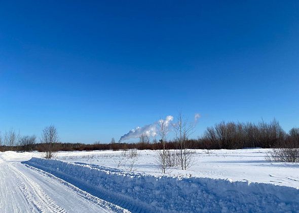 Синоптики прогнозируют потепление после морозных выходных