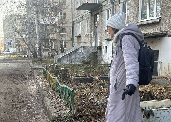 «Устроили лесоповал!» После спила деревьев во дворе жильцы разделились на два лагеря