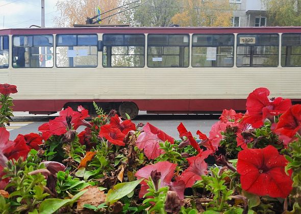 «Городской транспорт» взыскивает более 150 тысяч с горожанки, которая не захотела водить трамвай