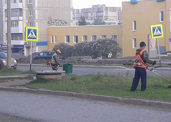 Почти два миллиона рублей потратят на кошение травы