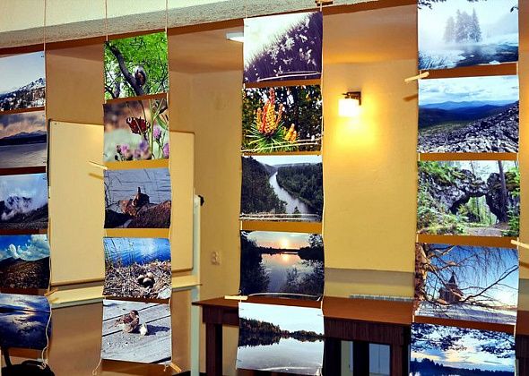 В городском фотоконкурсе "Северный взгляд" участвовали 60 человек