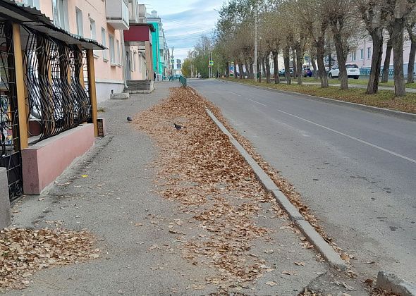 Стартовали осенние субботники