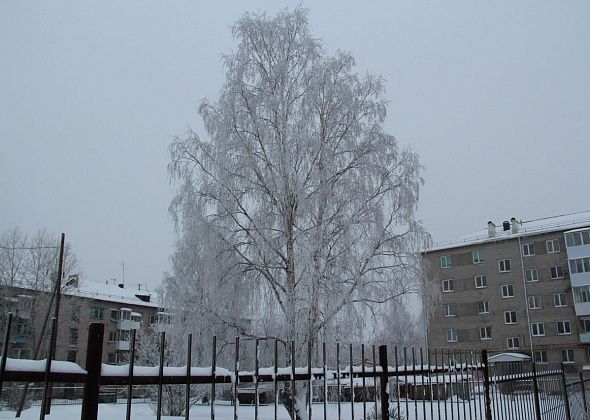 Ночью - до -40. Синоптики прогнозируют крепкие морозы на севере области