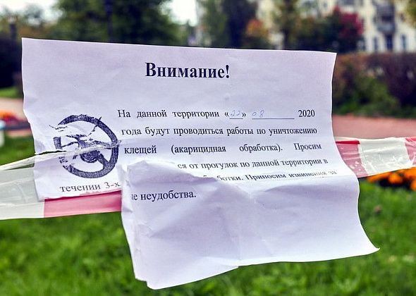 В этом году город дважды обработают от клещей. Мэрия на это выделяет более 100 тысяч