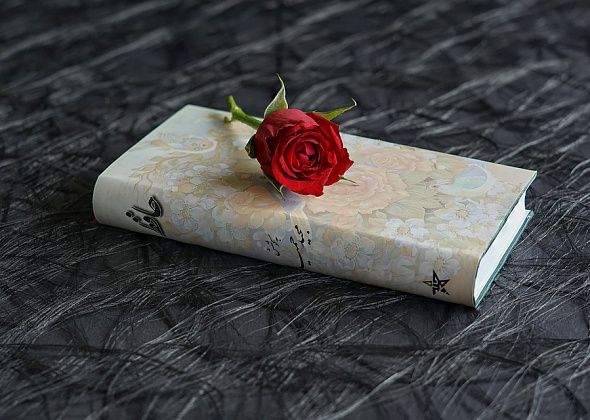 Молодежный поэтический баттл пройдет 27 ноября