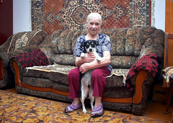 «Только в хорошие руки!»