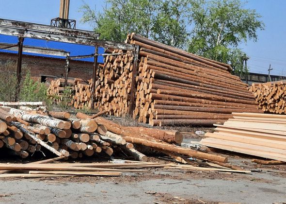 Наконец-то! Мэрия Краснотурьинска продала древесину